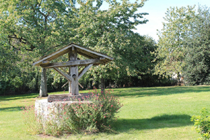 jardin011.jpg