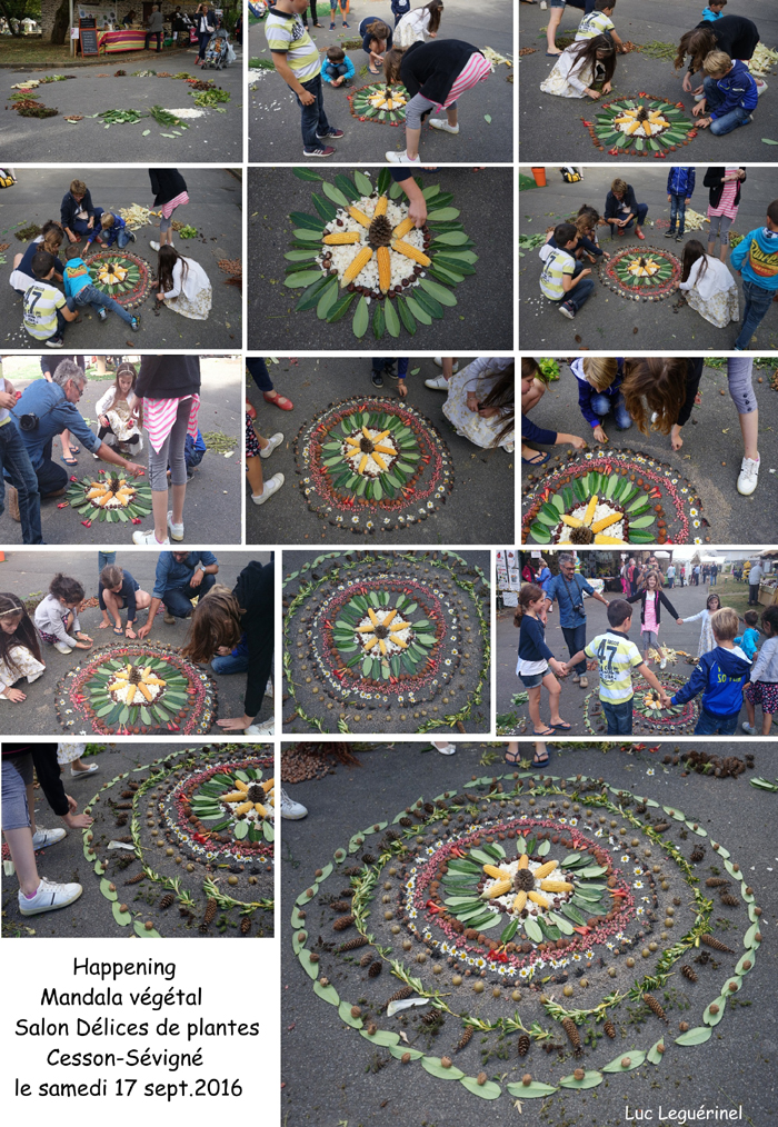 mandala01-delices2016