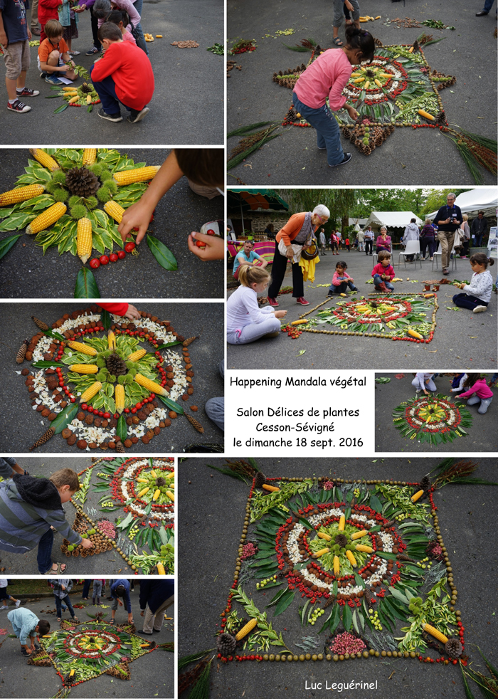 mandala02-delices2016