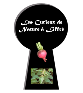 logo-cdnaliffre
