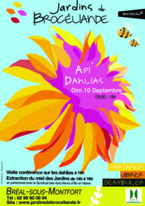 Affiche Dahlias