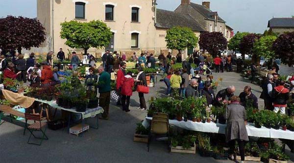 Bourse aux Plantes, 5 mai  2019,  à Boistrudan