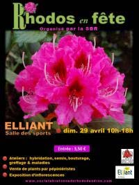 « RHODOS EN FETE » le dimanche 29 avril