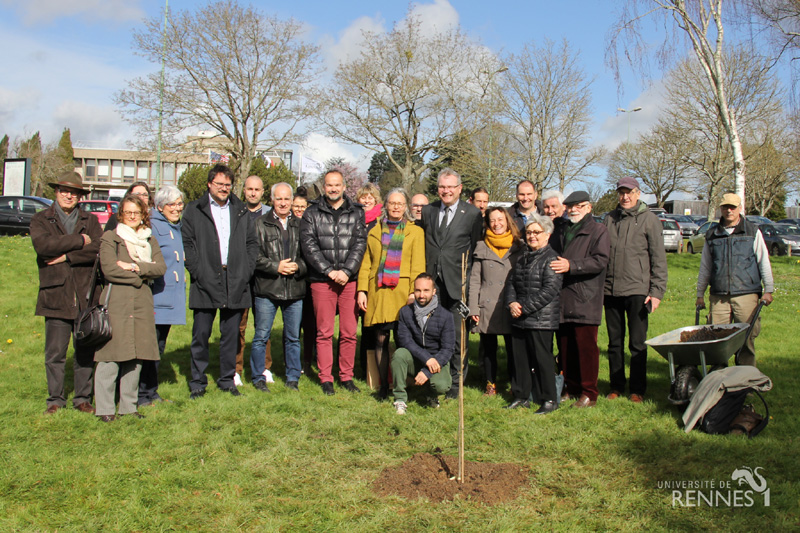 Société d'horticulture 35 plantant un pacanier ou noyer de pécan sur le campus de Beaulieu en commémoration de la Grande Guerre de 14-18