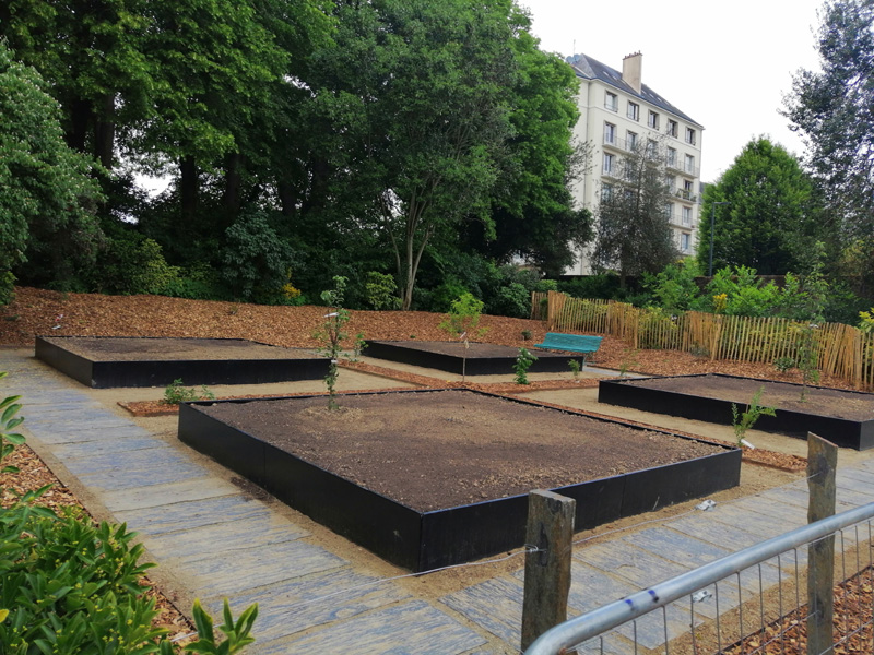 Au parc du Thabor, une parcelle de fruits et légumes insolites