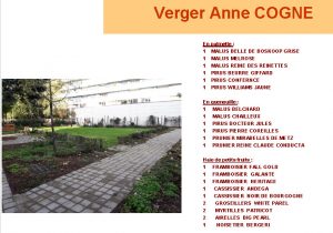 verger anne cogne détail plantation