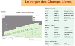 verger des champs Libres