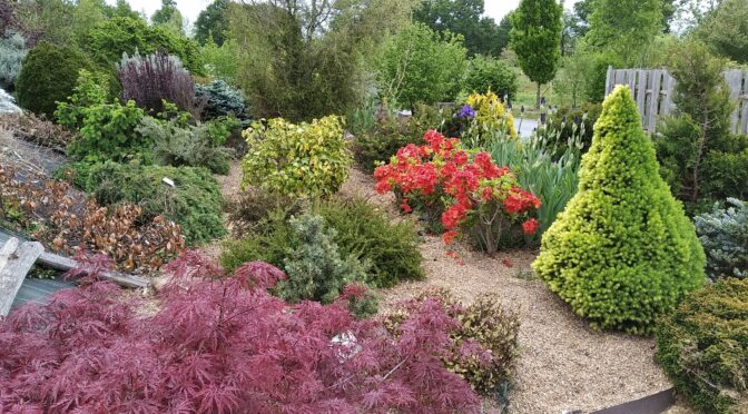 OPERATION JARDINS OUVERTS POUR LE NEURODON