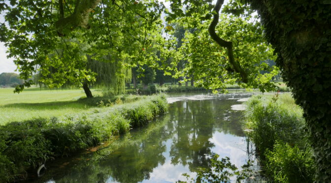 Déclaration des droits de l’arbre du 5 avril 2019