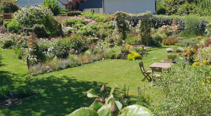 Visites du jardin de Yannick DIVET