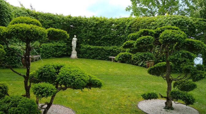 Formation taille en Niwaki